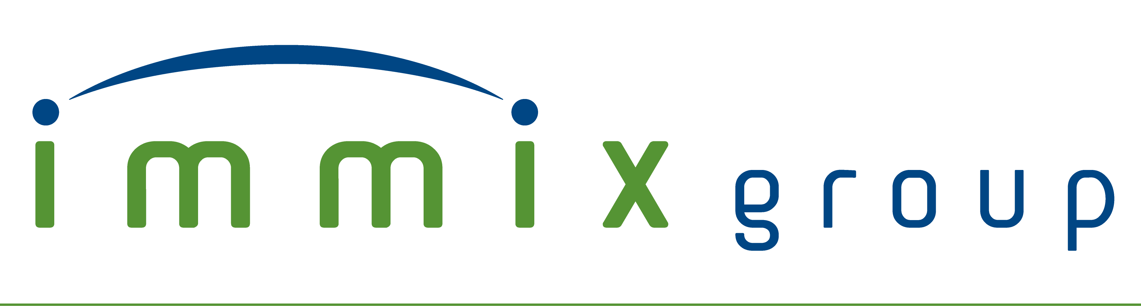 Immix Group